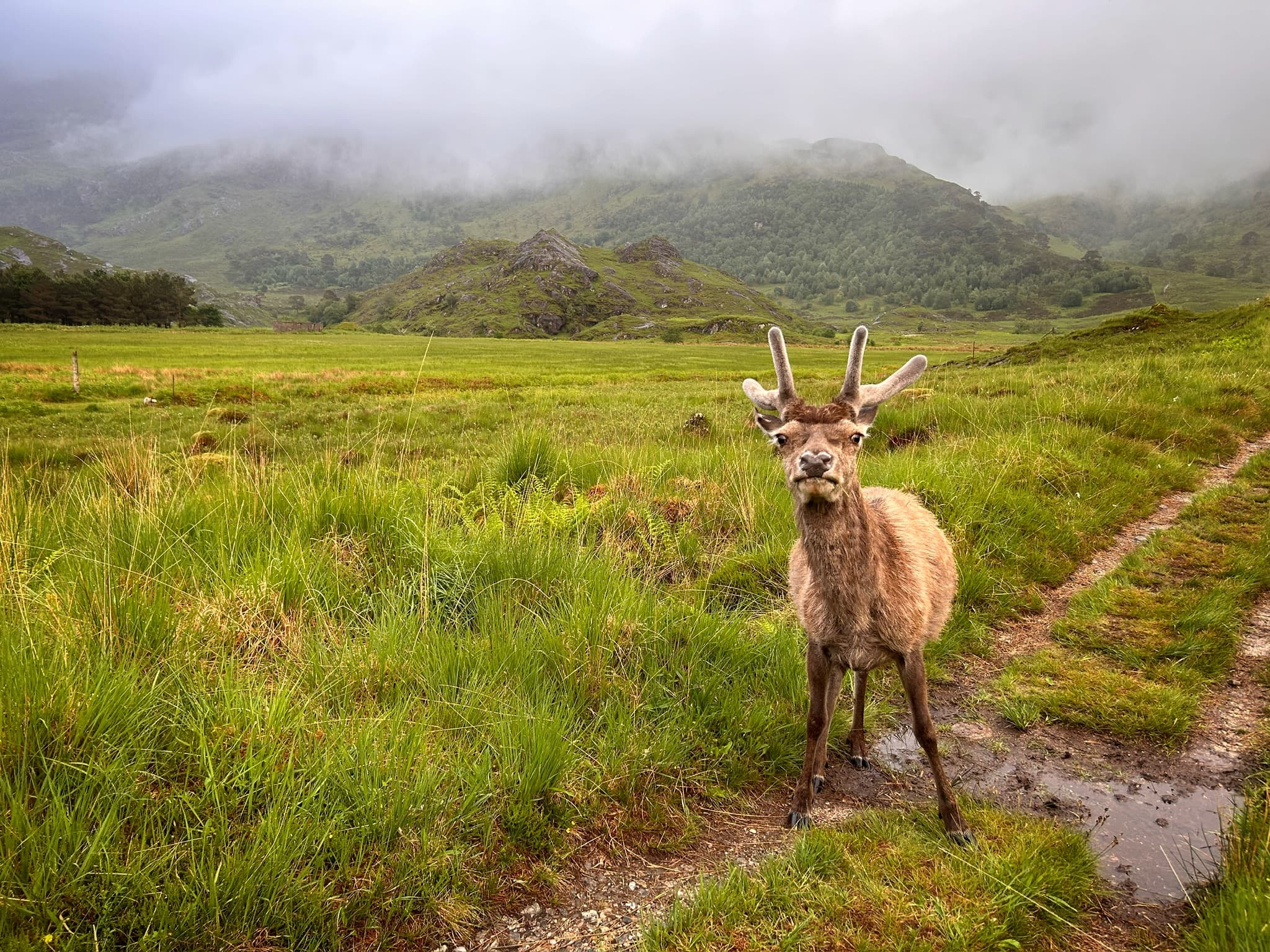 Scottish Highlands — Knoydart With a Twist — photo 8