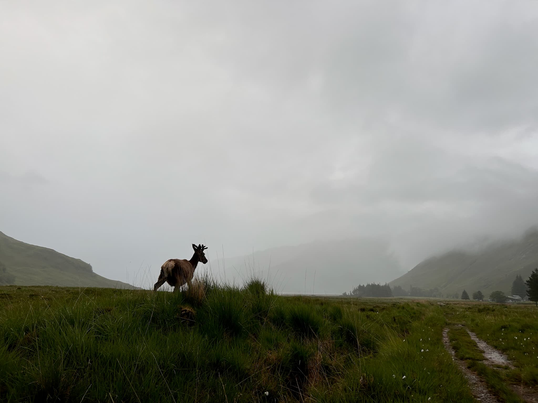 Scottish Highlands — Knoydart With a Twist — photo 9