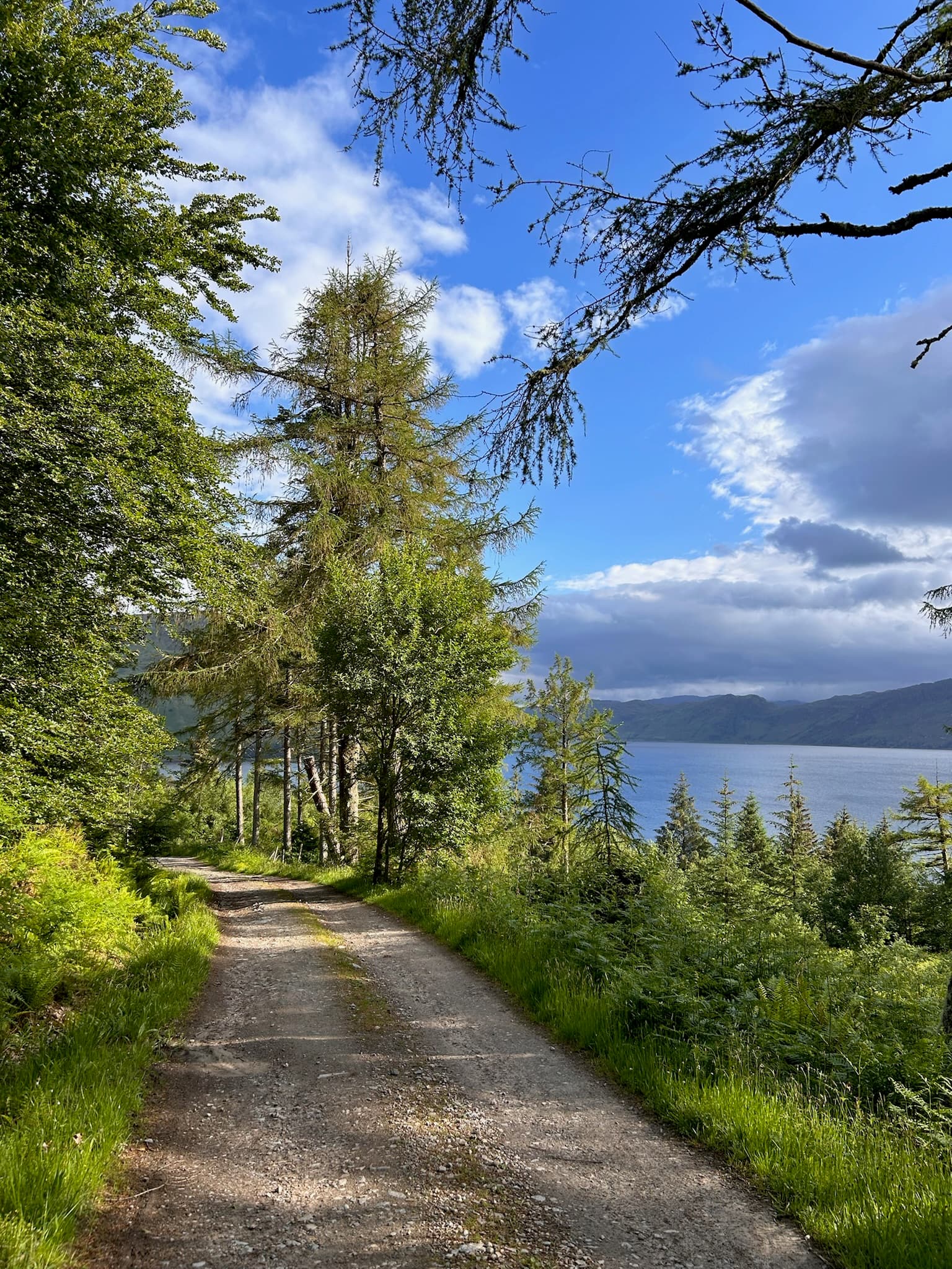 Scottish Highlands — Knoydart With a Twist — photo 10