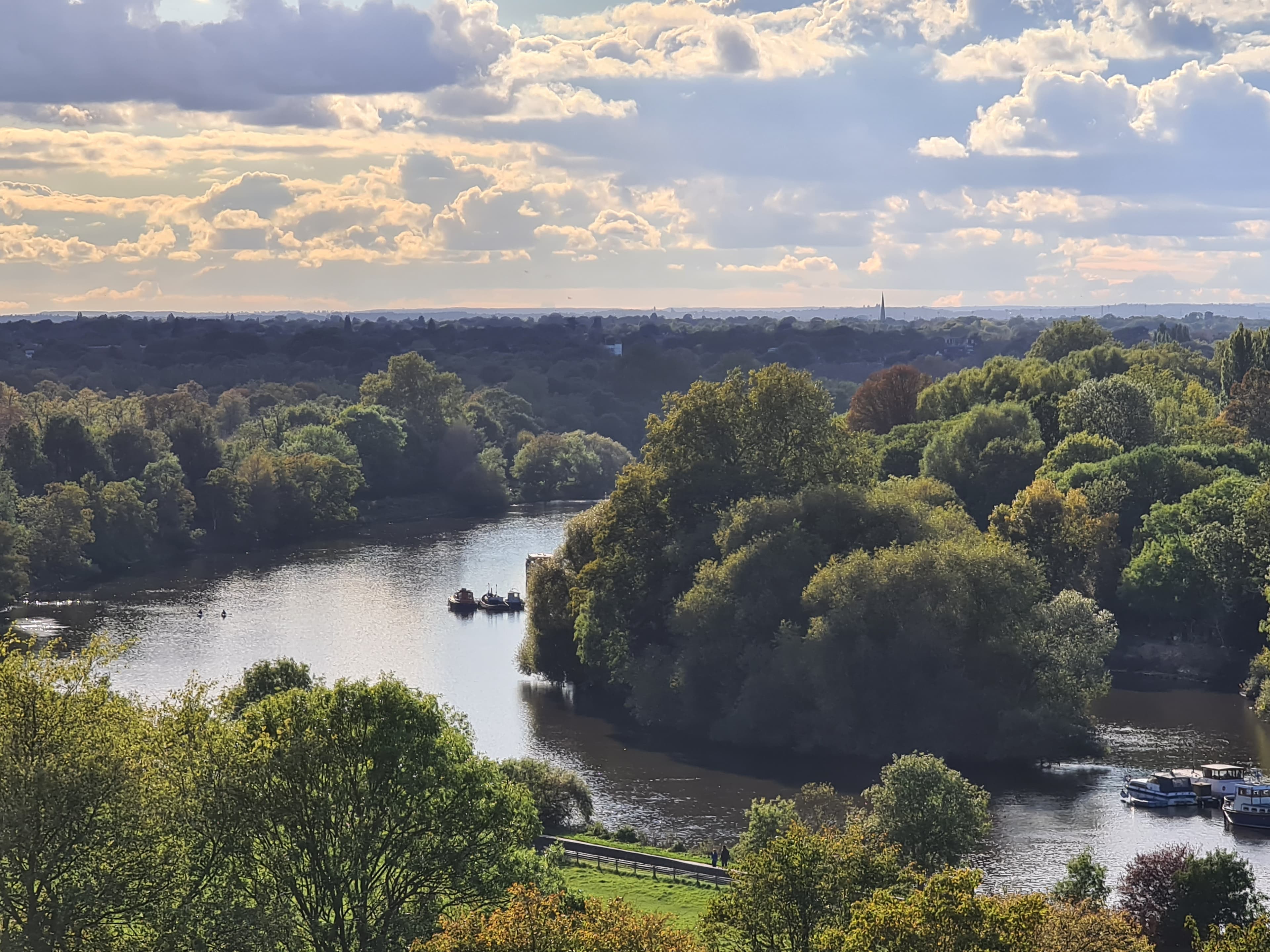 Running in Richmond Park: routes, deer and the hill at the end