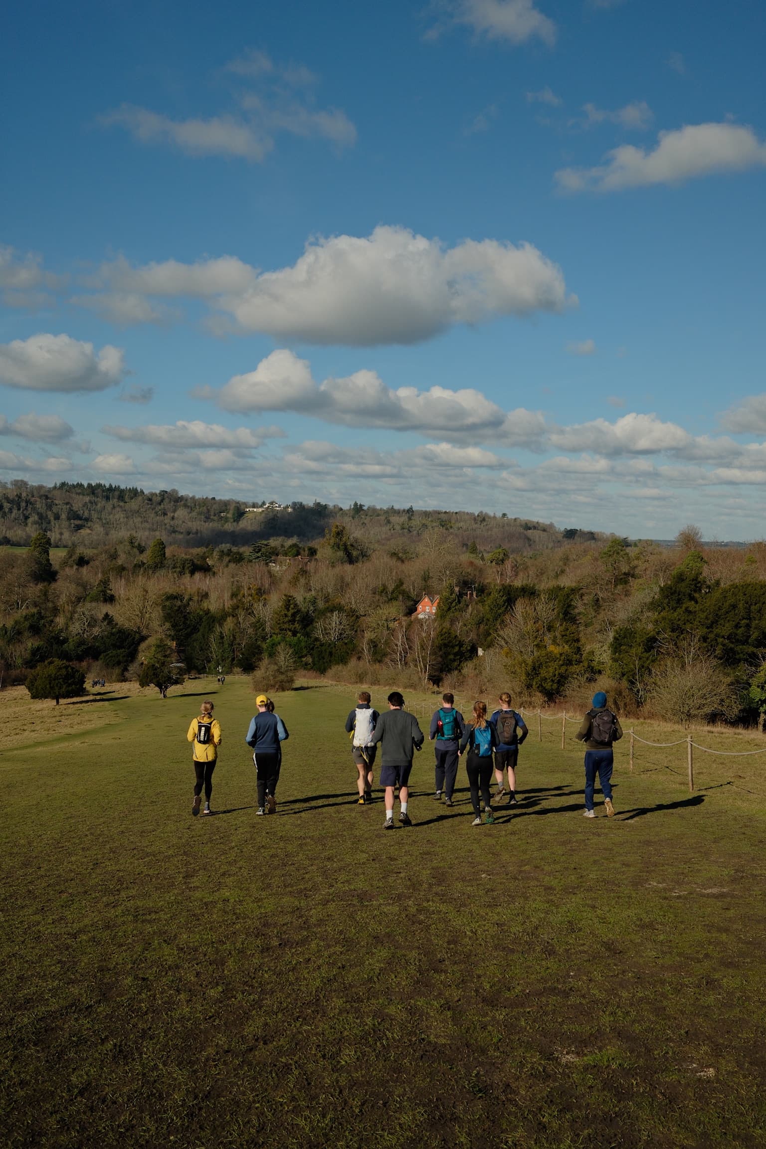 Box Hill Trail Run, photo 4