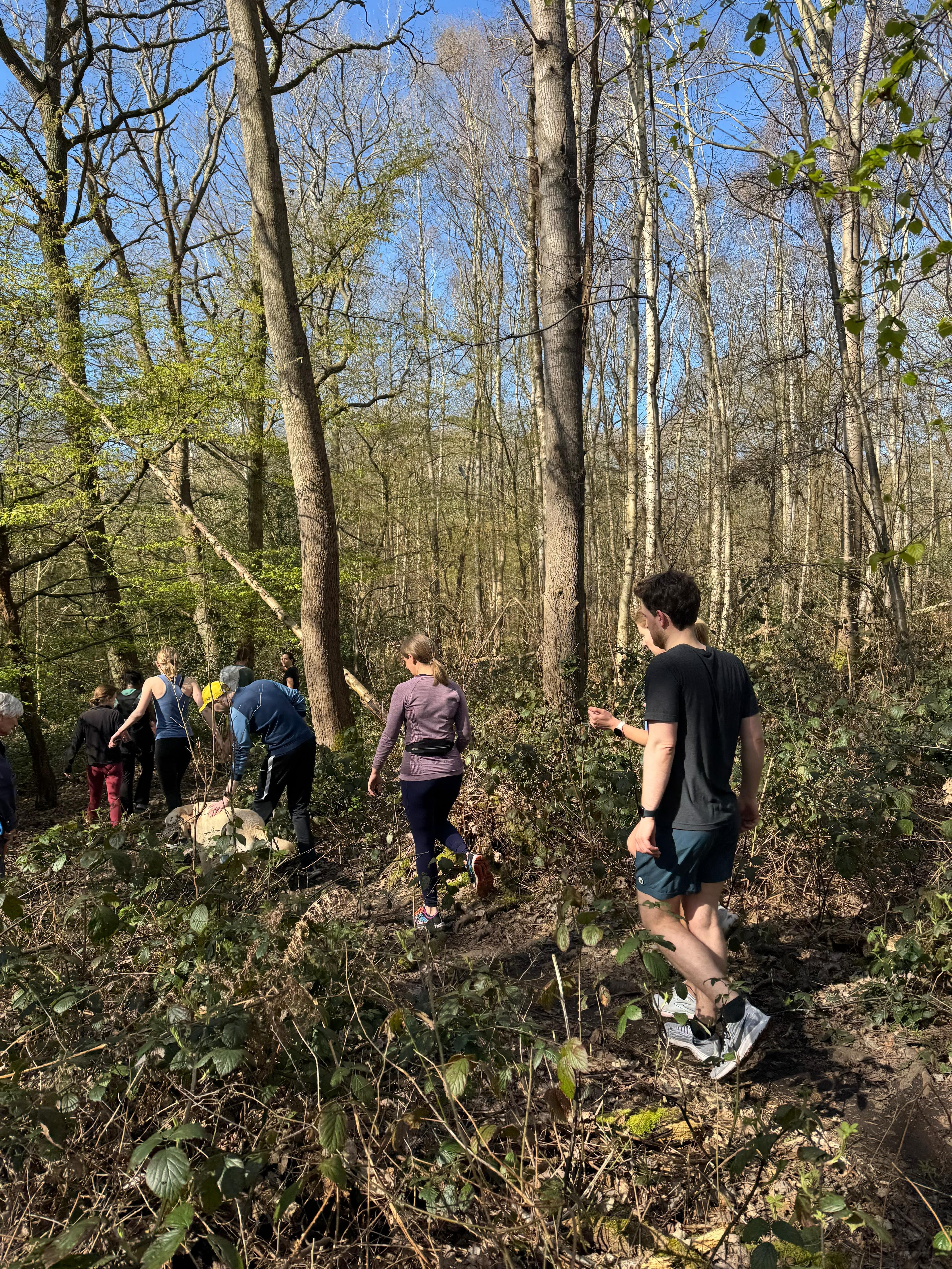 Wimbledon Common Trail Run — photo 3