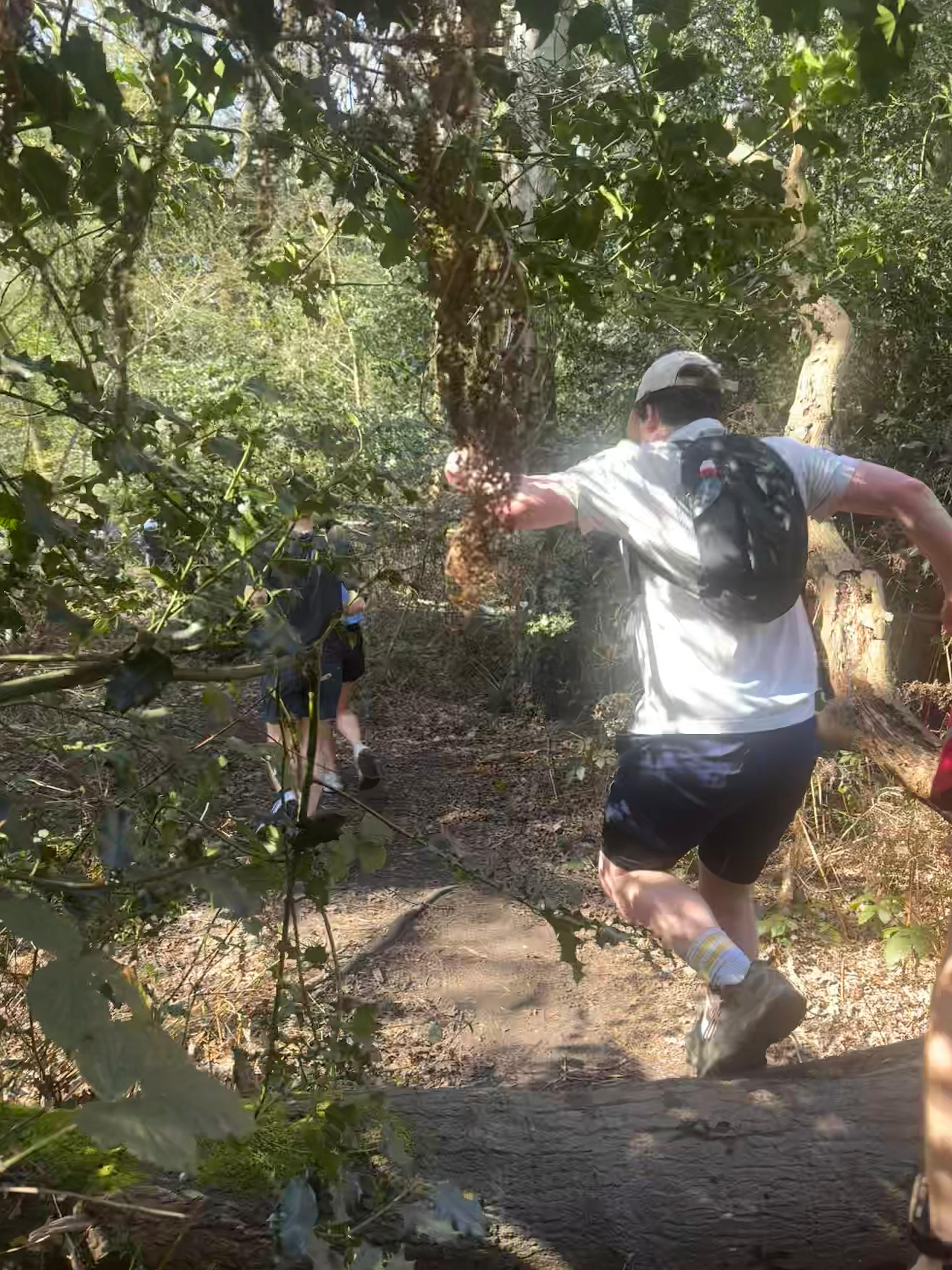 Wimbledon Common Trail Run — photo 4