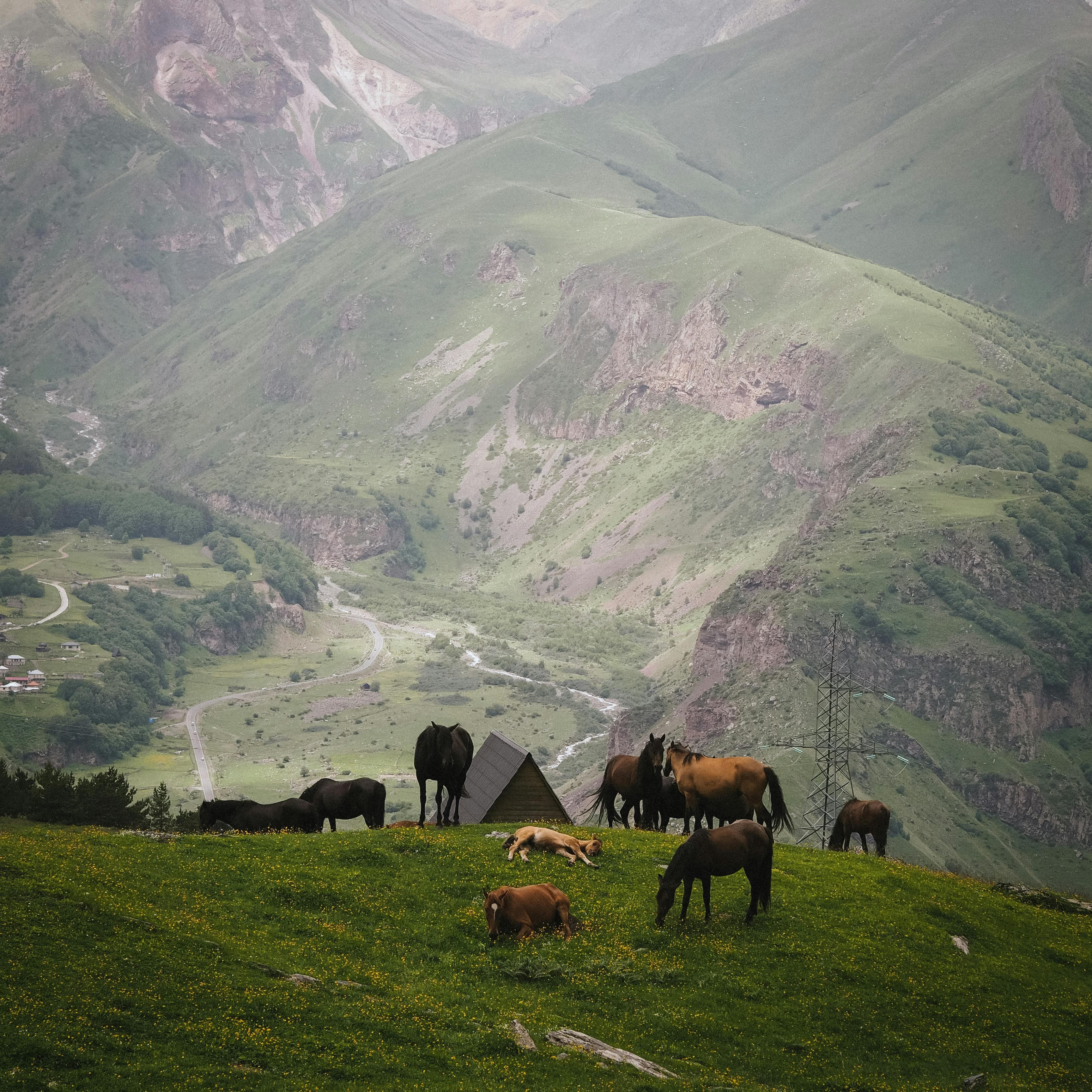 Georgia: Kazbegi & The Caucasus, photo 4