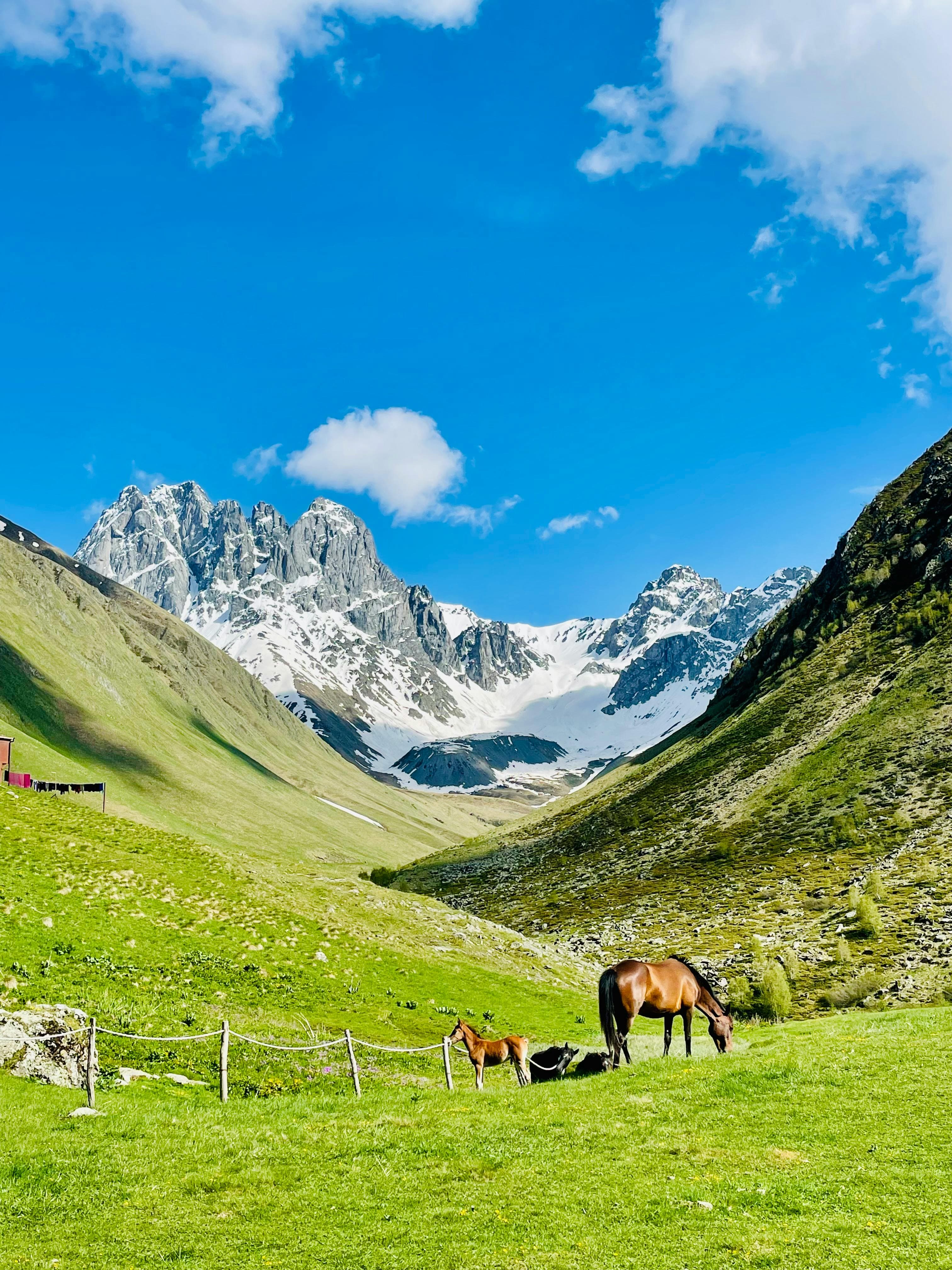 Georgia: Kazbegi & The Caucasus, photo 6