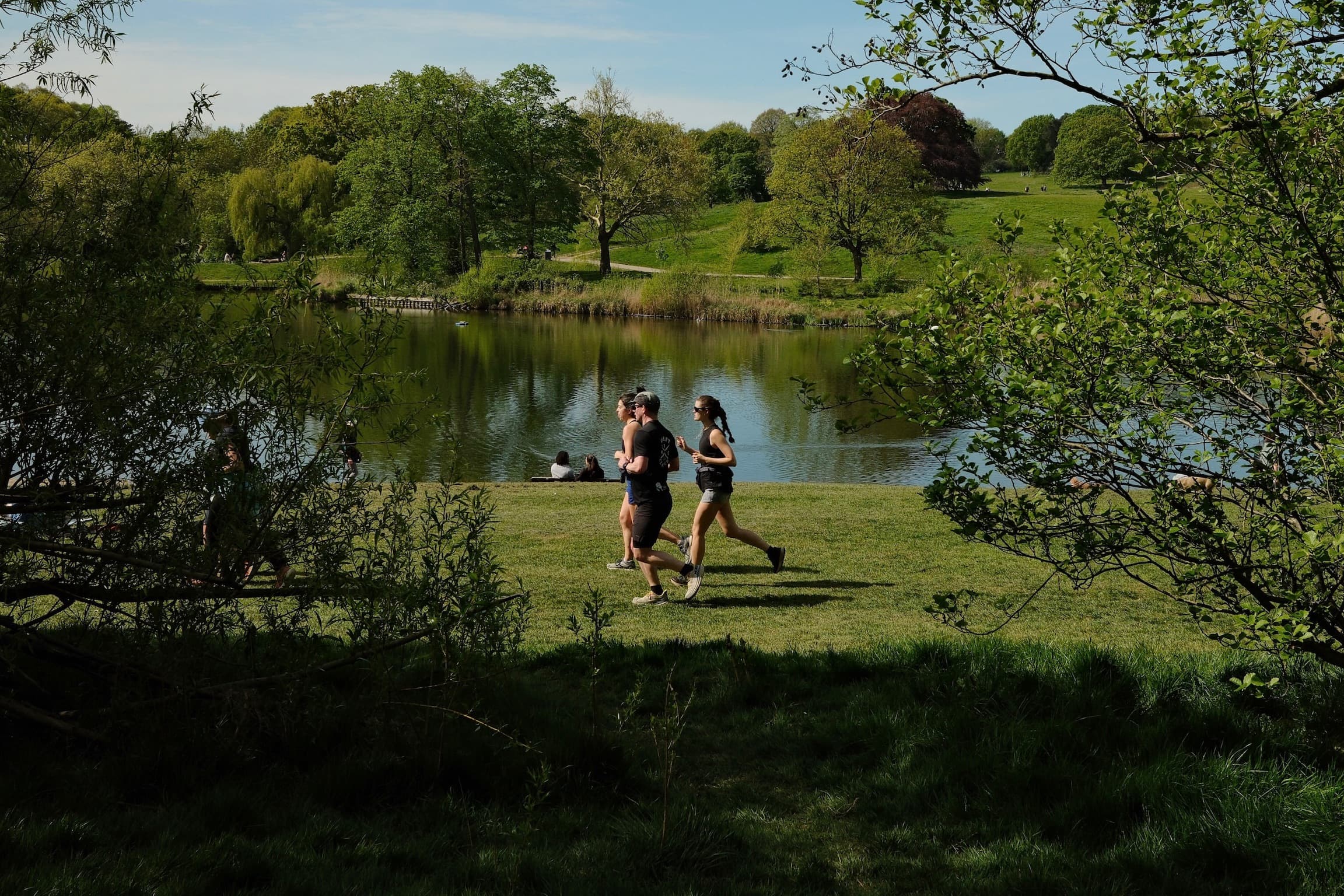 Hampstead Heath Trail Run, photo 2