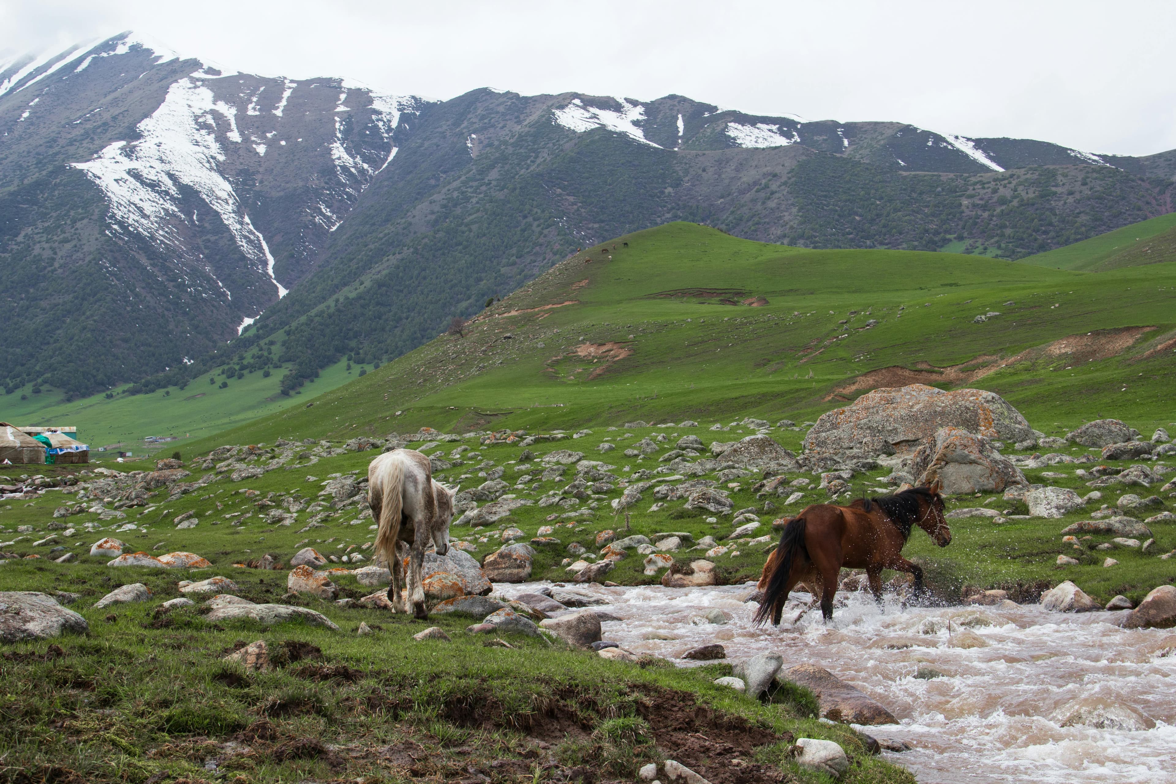 Kyrgyzstan: Tian Shan High Route, photo 3