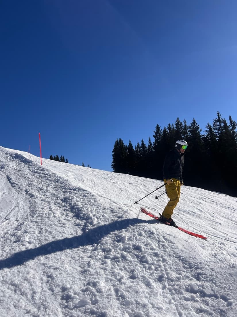 A skier dropping into a pisted slope beside pine trees
